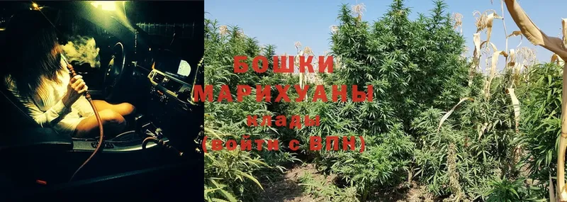 как найти закладки  Калач-на-Дону  Бошки Шишки White Widow 